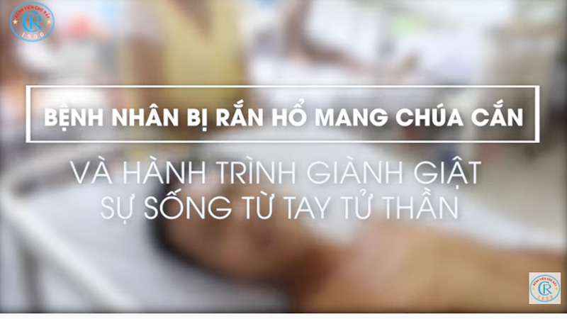Bệnh nhân bị rắn hổ mang chúa cắn và hành trình giành giật sự sống từ tay tử thần