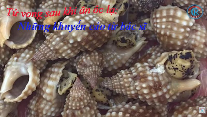Tử vong sau khi ăn ốc lạ: Những khuyến cáo từ bác sĩ